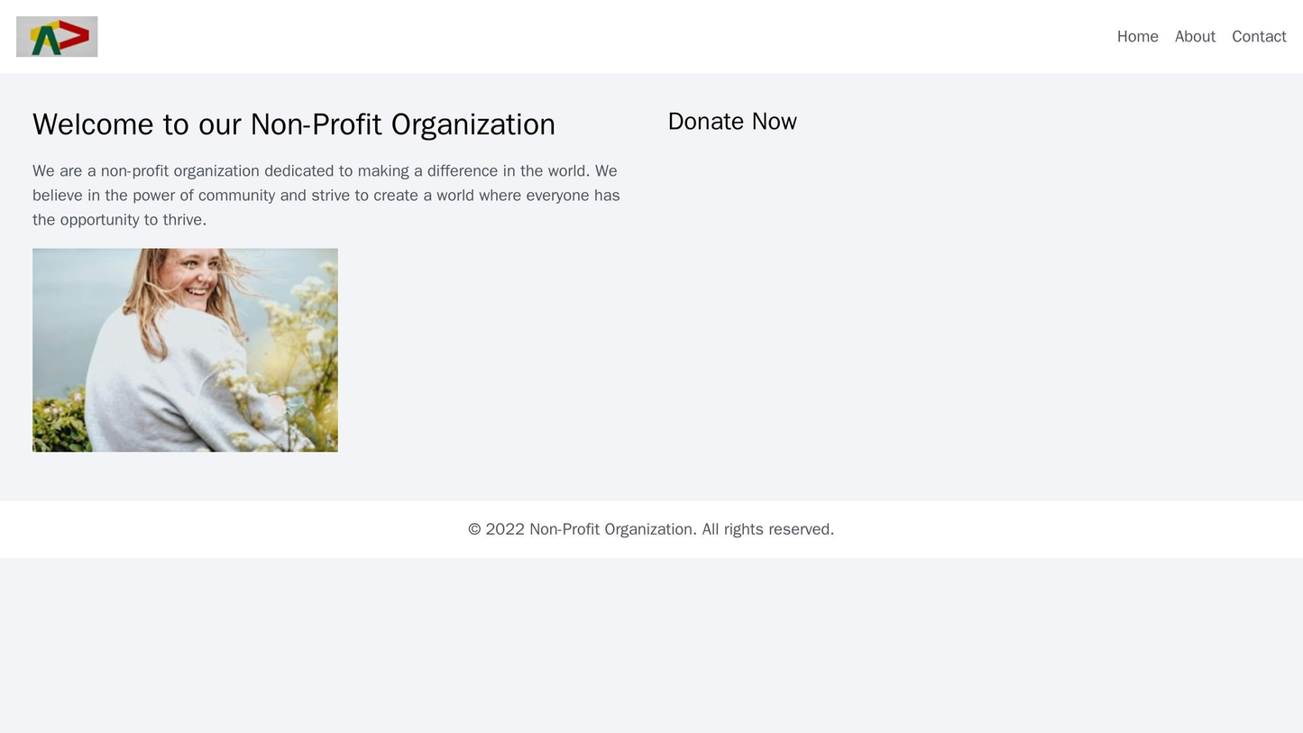 Non-Profit Organization: A clean and focused design with a centered logo, a simple menu bar, and an engaging Hero image Web Template 721