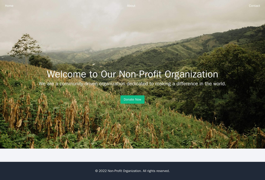 Non-profit Organization: A visually striking design with a header image showcasing the organizations mission, a large do Web Template 3384