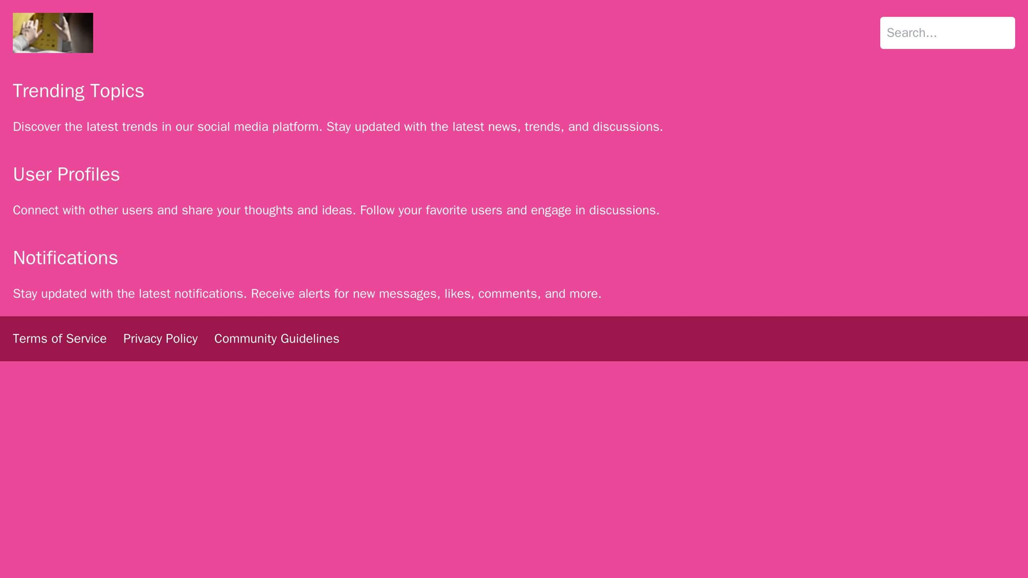 Social Media Platform: A header with logo and search bar, main content divided into sections (trending topics, user prof Web Template 3140