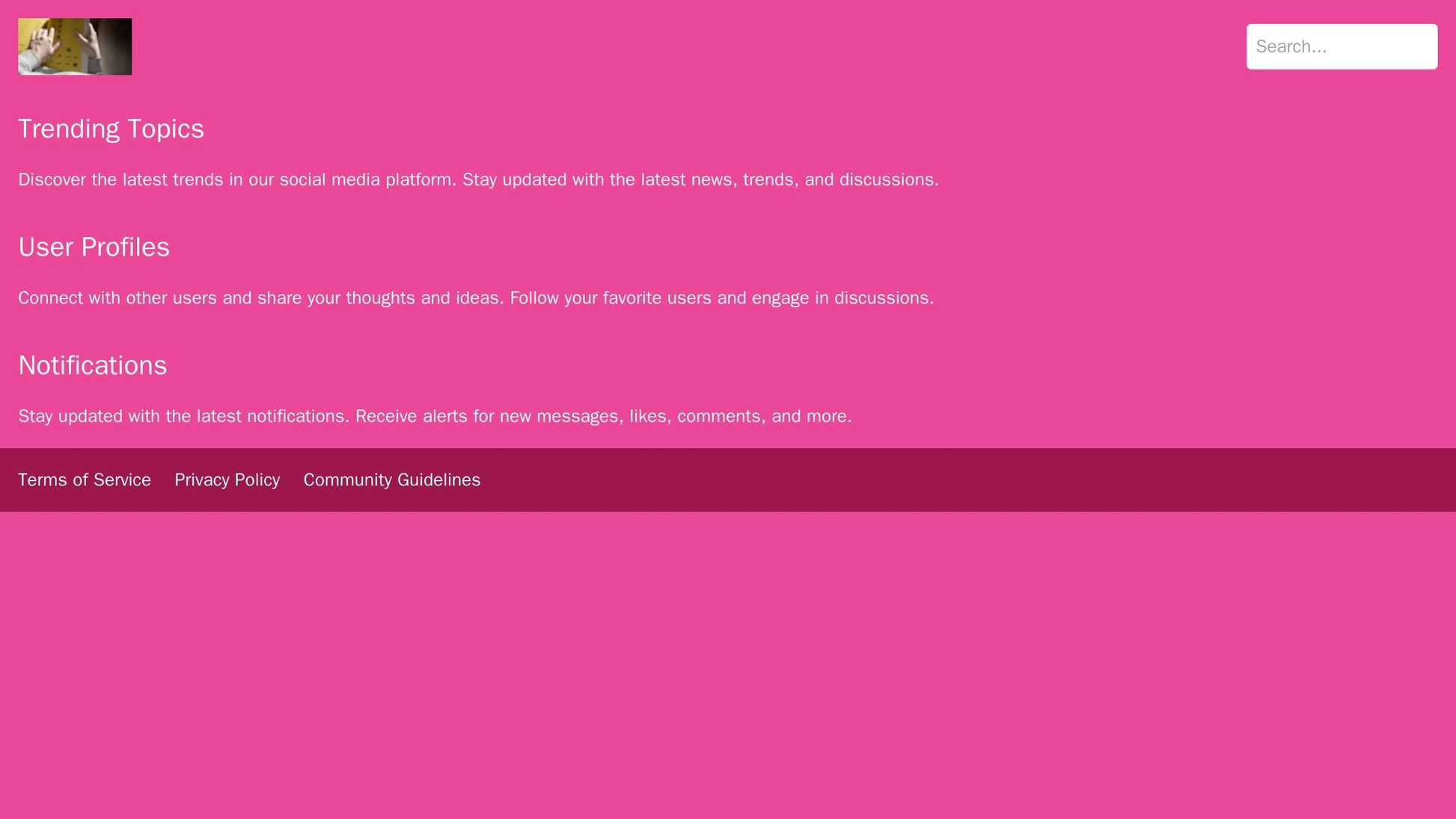 Social Media Platform: A header with logo and search bar, main content divided into sections (trending topics, user prof Web Template 3140