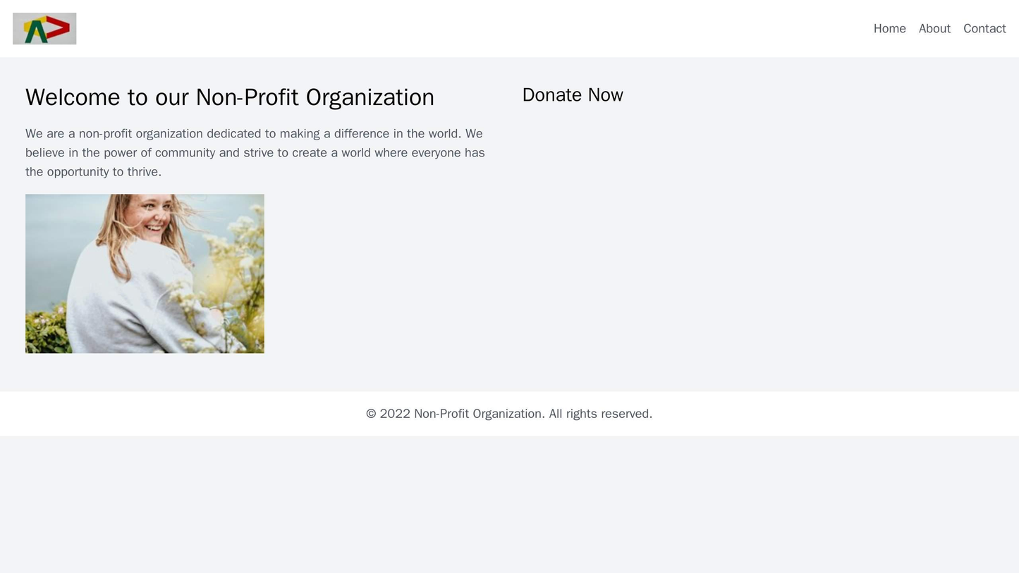 Non-Profit Organization: A clean and focused design with a centered logo, a simple menu bar, and an engaging Hero image  Web Template 721