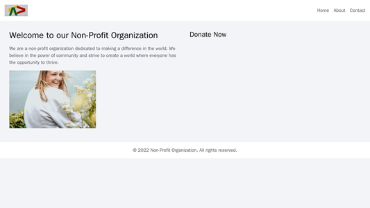 Non-Profit Organization: A clean and focused design with a centered logo, a simple menu bar, and an engaging Hero image  Web Template 721