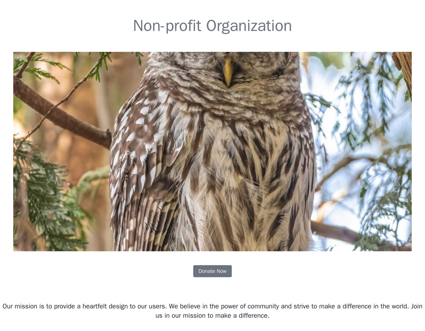 Non-profit Organization: A heartfelt design with a hero image of people or animals, and a centered call-to-action button Web Template 1360